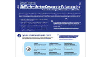Skillorientiertes Corporate Volunteering (Poster)