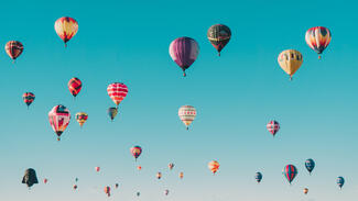 ZiviZ-Survey: Themenschwerpunkt Migration